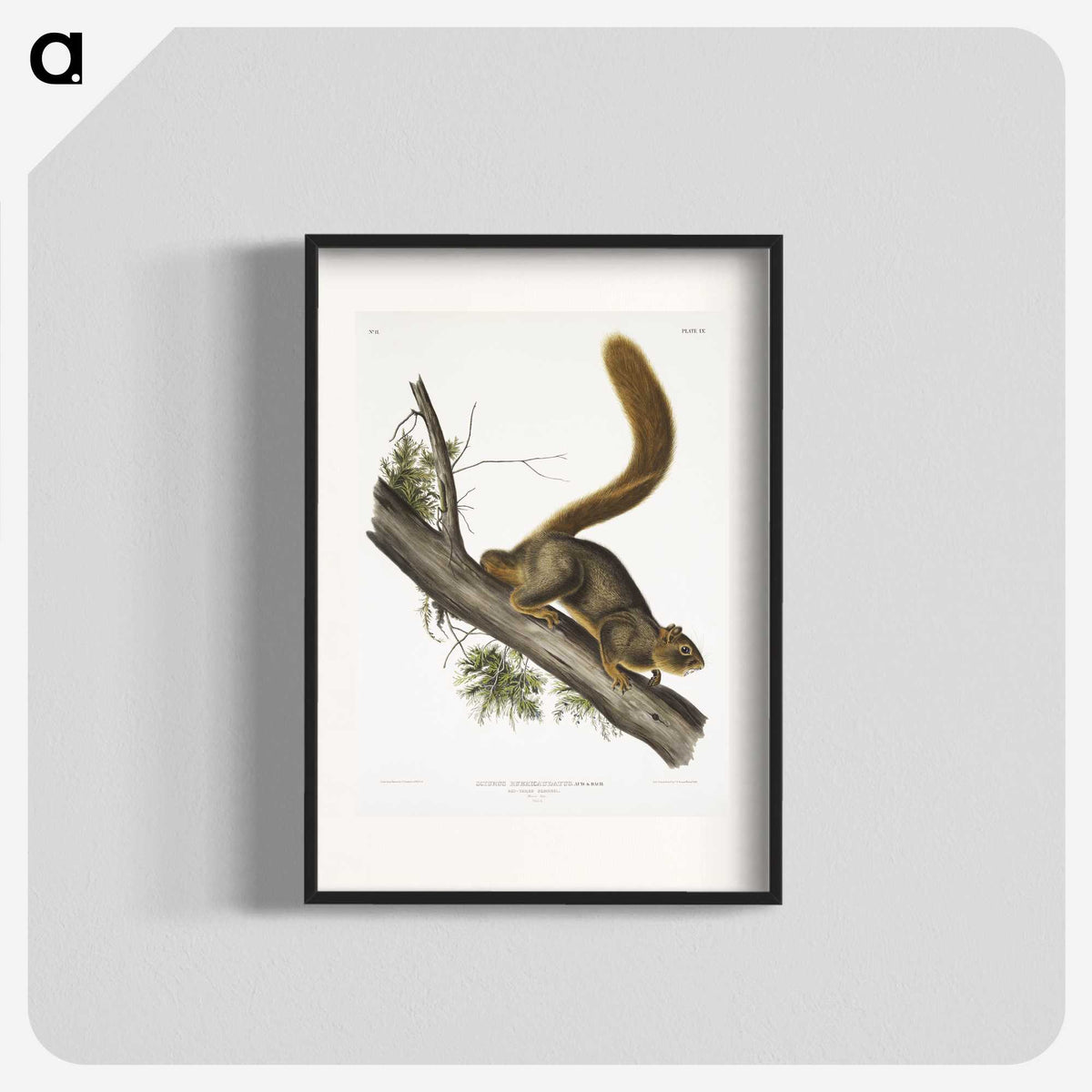 1-45_The-Viviparous-Quadrupeds_blk