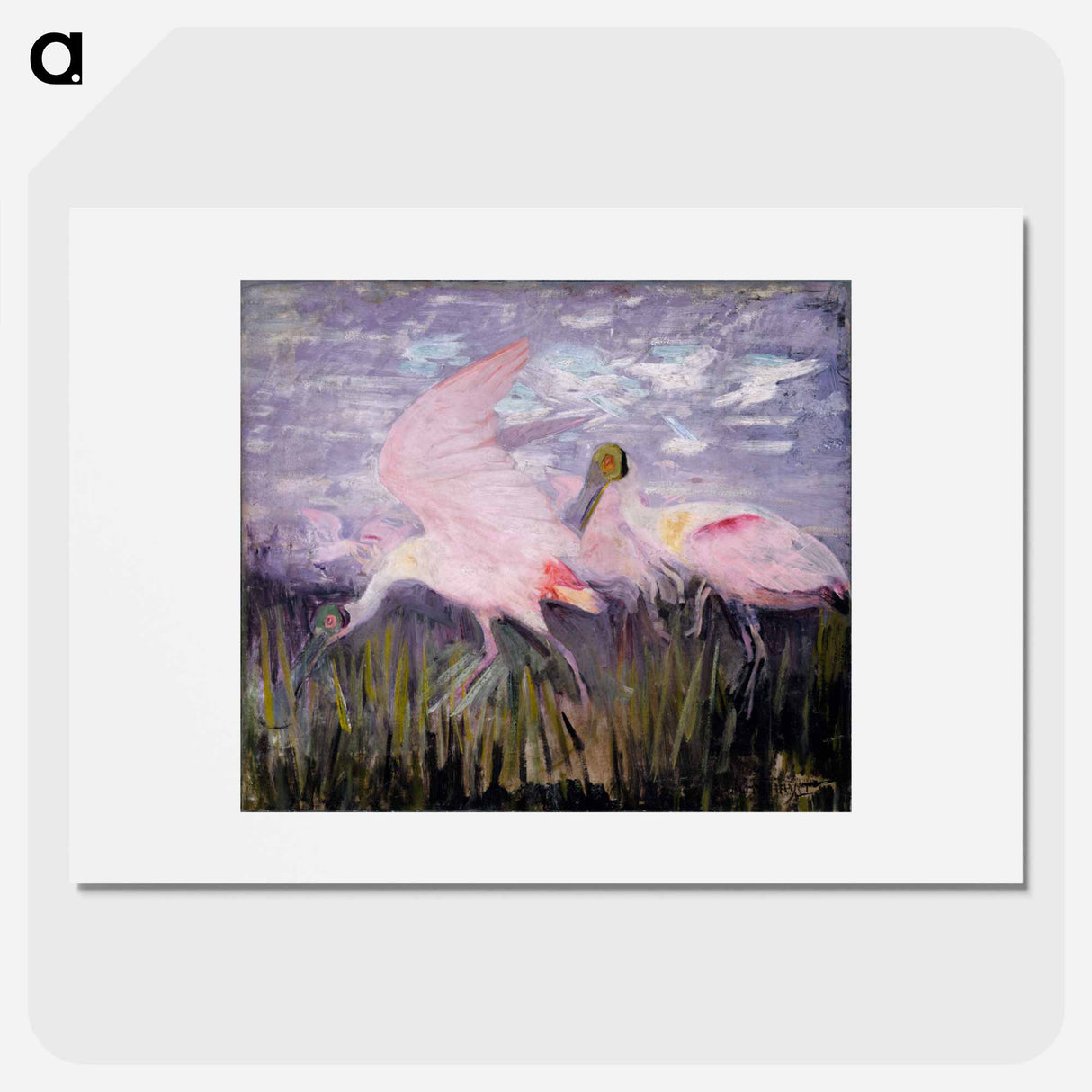 Roseate Spoonbills - アボット ハンダーソン セイヤー Poster.