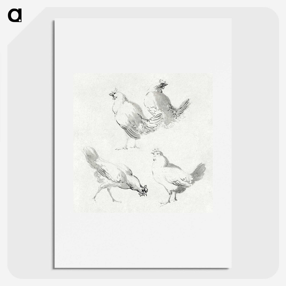 1-46_Aert-Schouman_picture