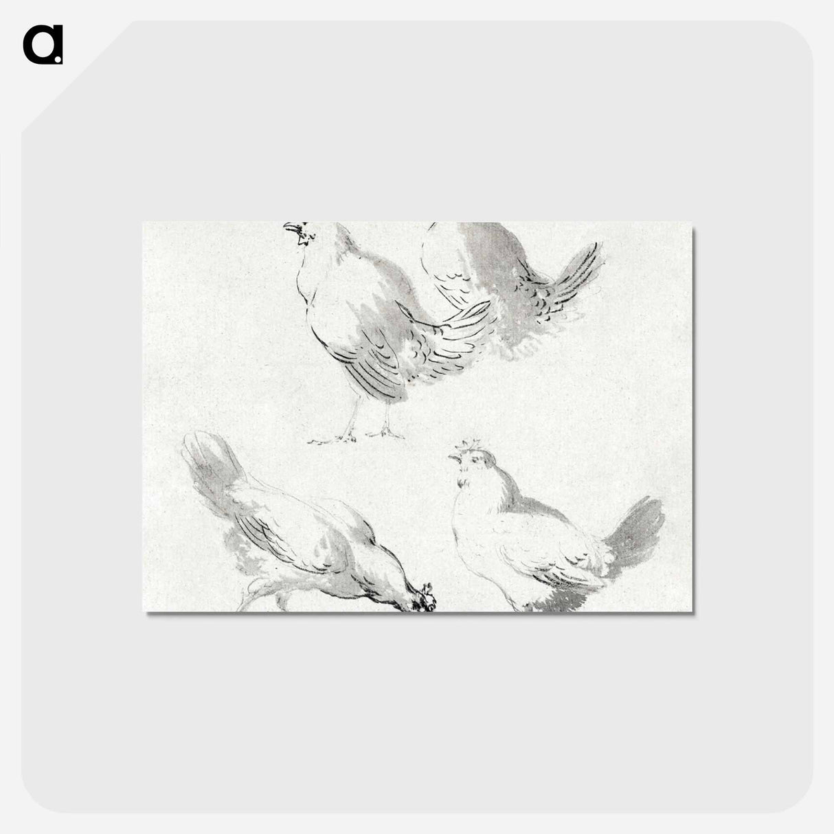 Four chickens - アールト シューマン Postcard.