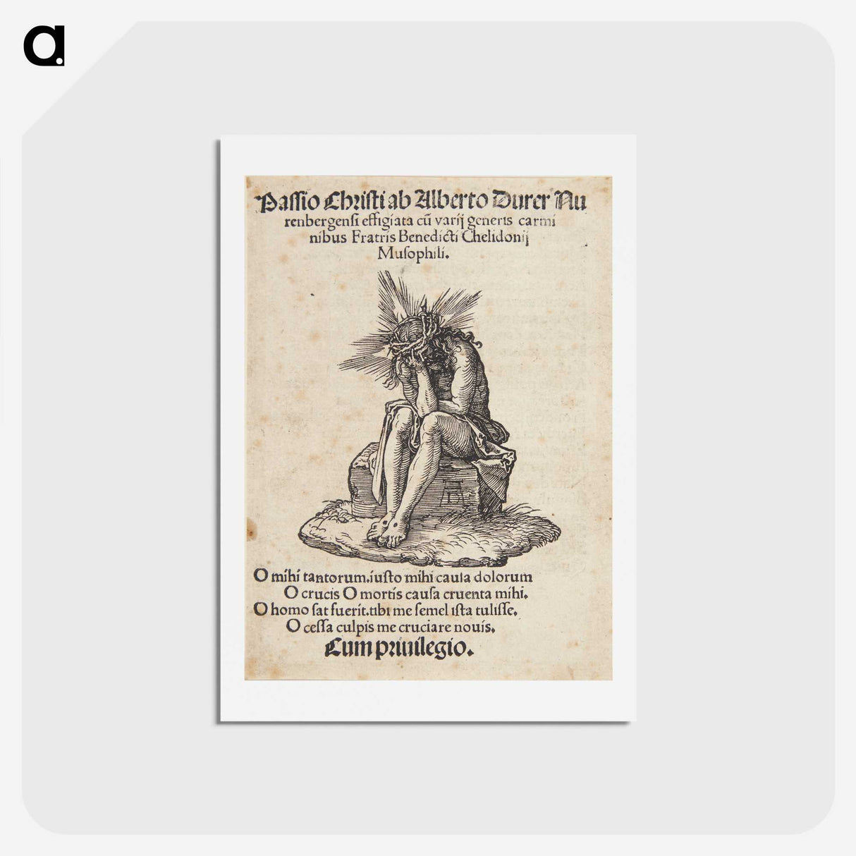 1-46_Albrecht-Durer_hagaki