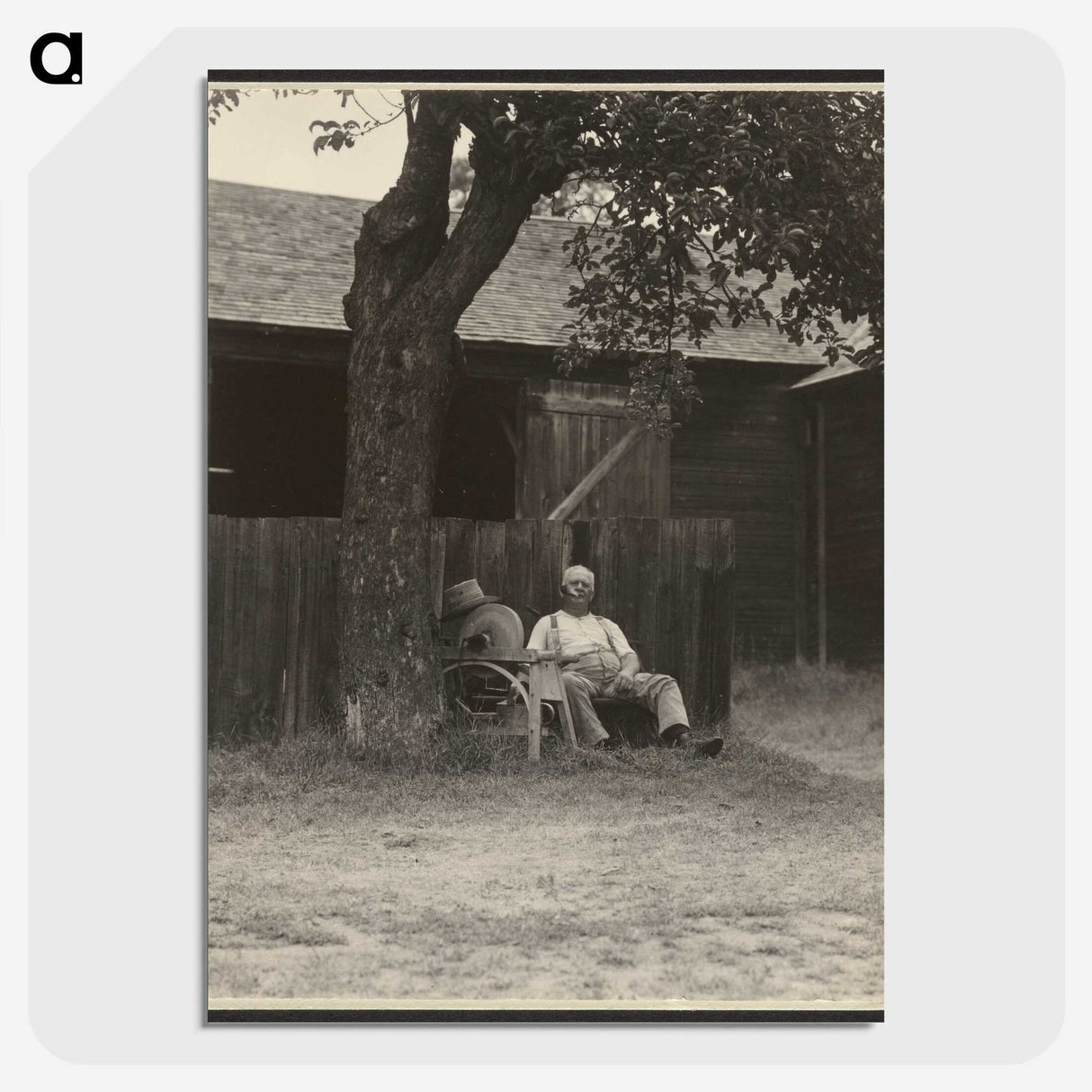 1-46_Alfred-Stieglitz_picture-crop