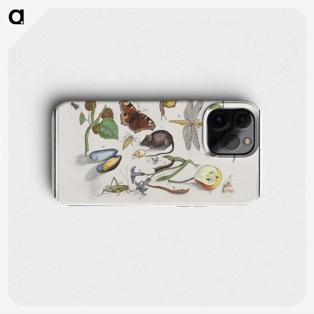 1-46_Anselmus-Boetius-de-Boodt_phone