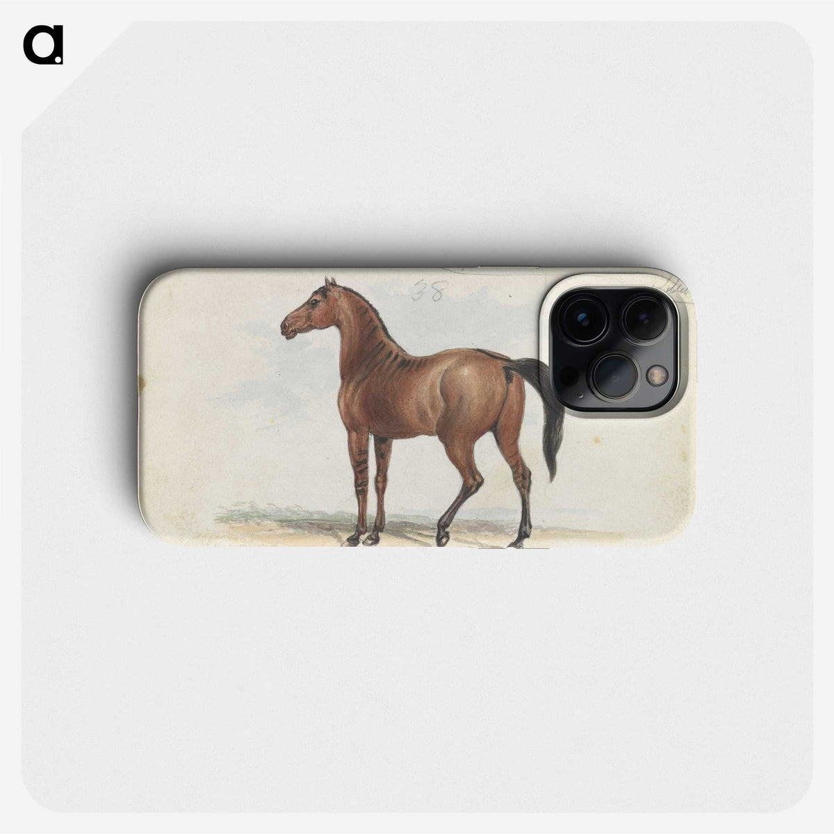 1-46_Charles-Hamilton-Smith_phone