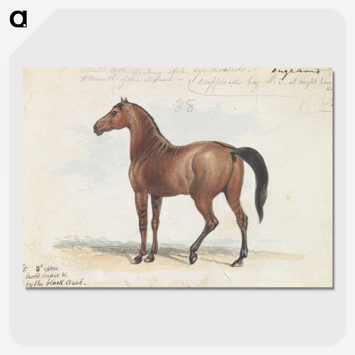 1-46_Charles-Hamilton-Smith_picture-crop