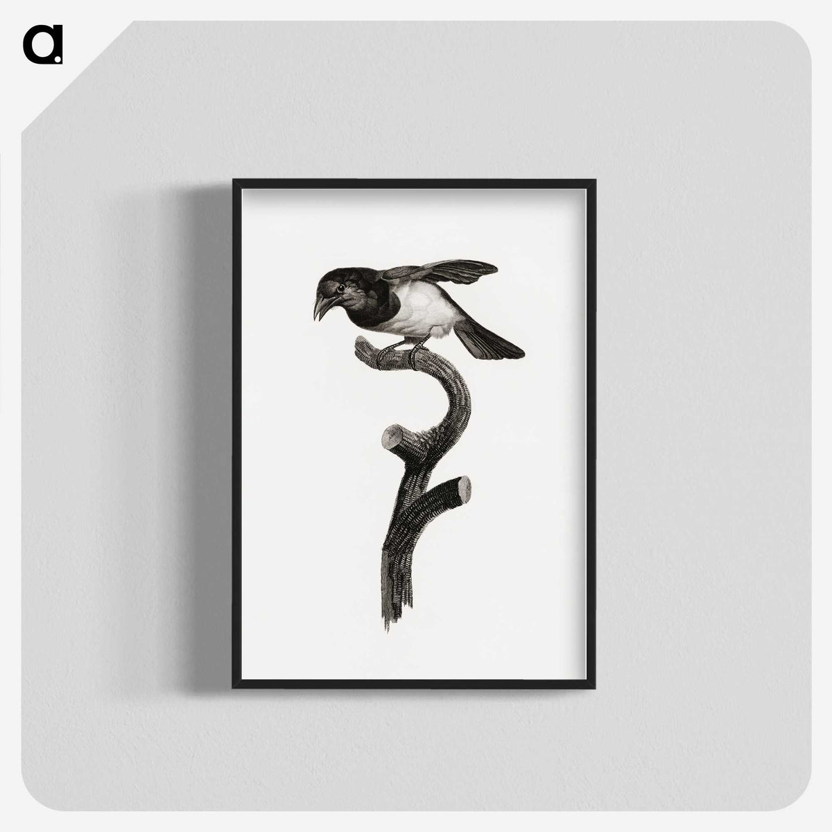 1-46_Des-Oiseaux-de-Paradis_blk-crop