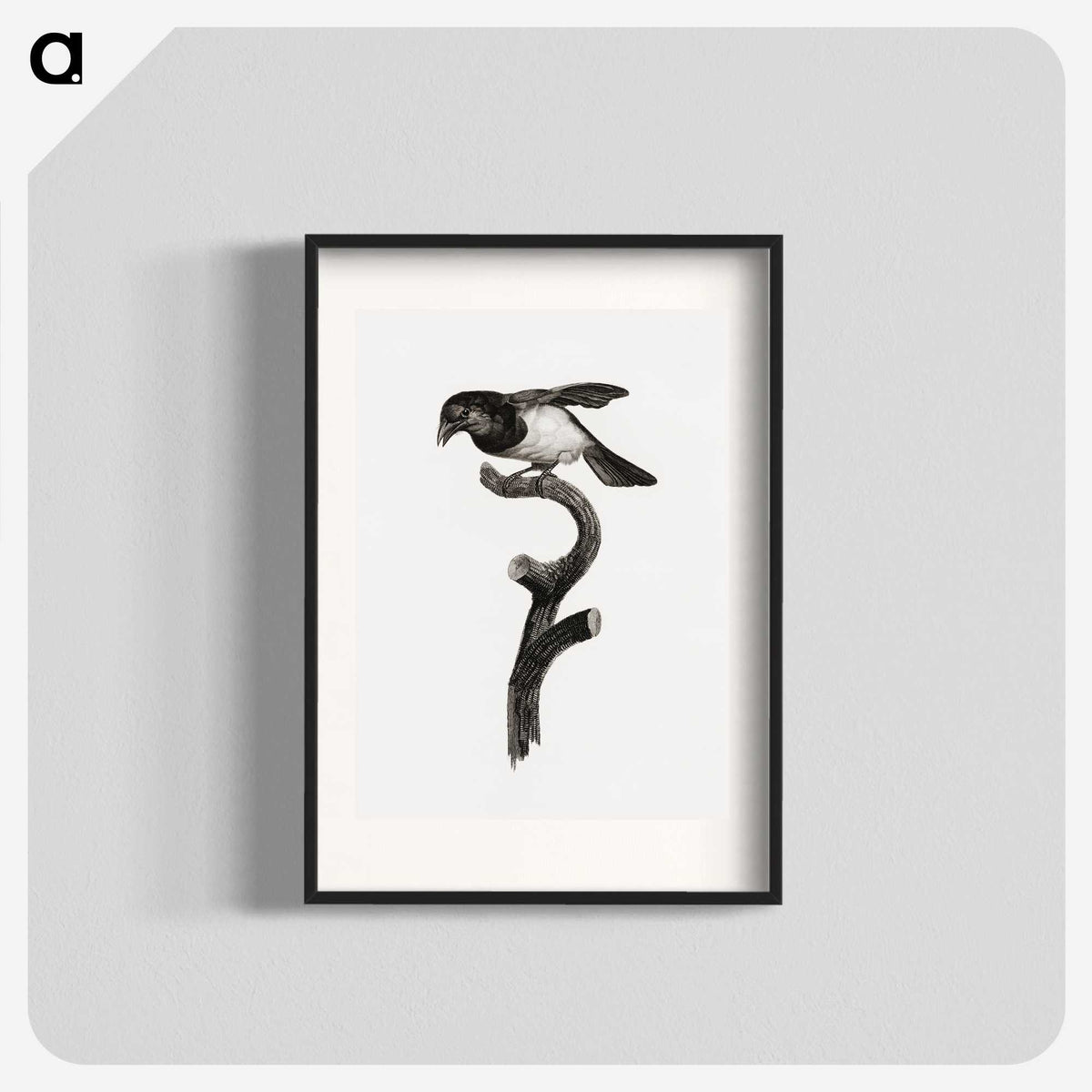 1-46_Des-Oiseaux-de-Paradis_blk