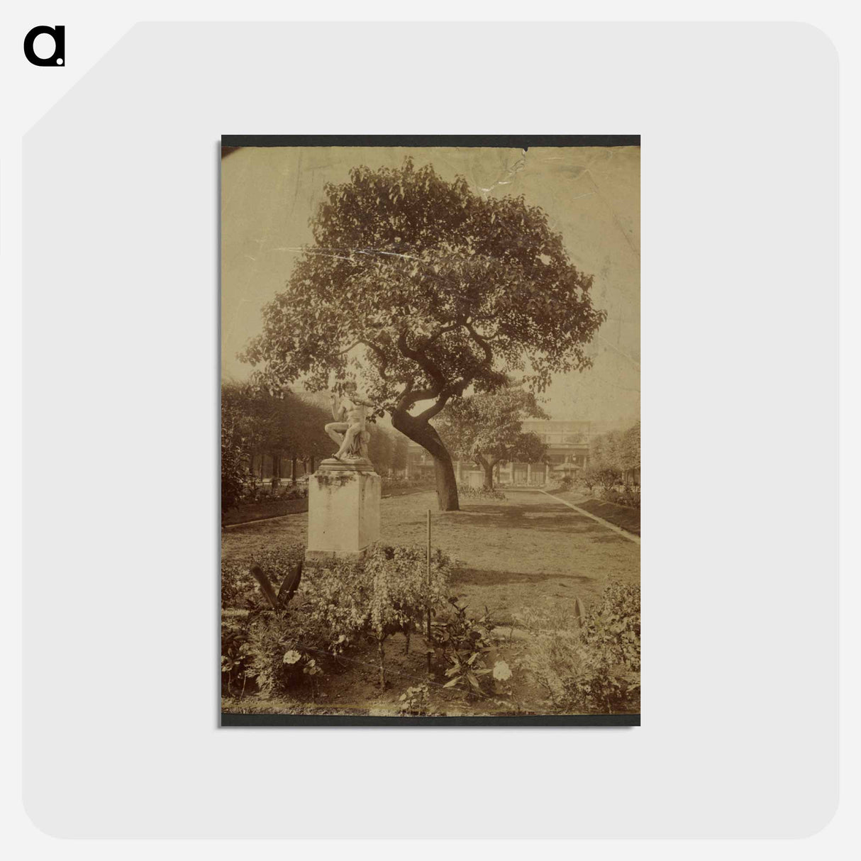 アートポストカード-Jardin Palais-Royal
- ウジェーヌ アジェ Postcard.
