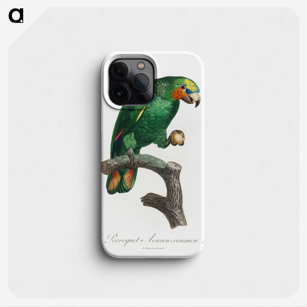 1-46_Francois-Levaillant_phone