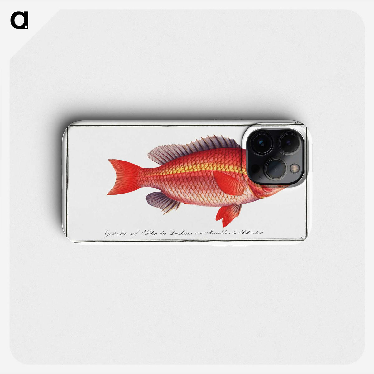 1-46_Ichtyologie-ou-Histoire-naturelle_phone