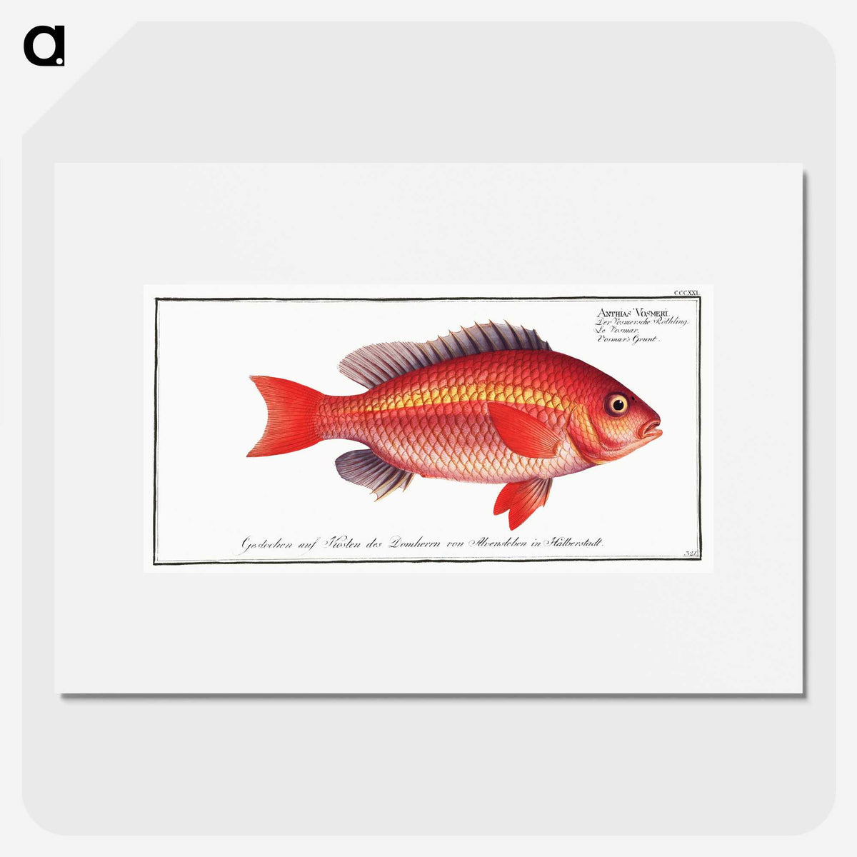 1-46_Ichtyologie-ou-Histoire-naturelle_picture