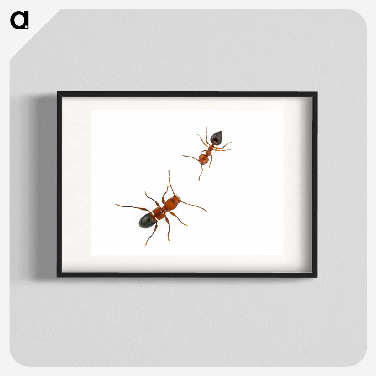 1-46_Insects-Unlocked-Project_blk