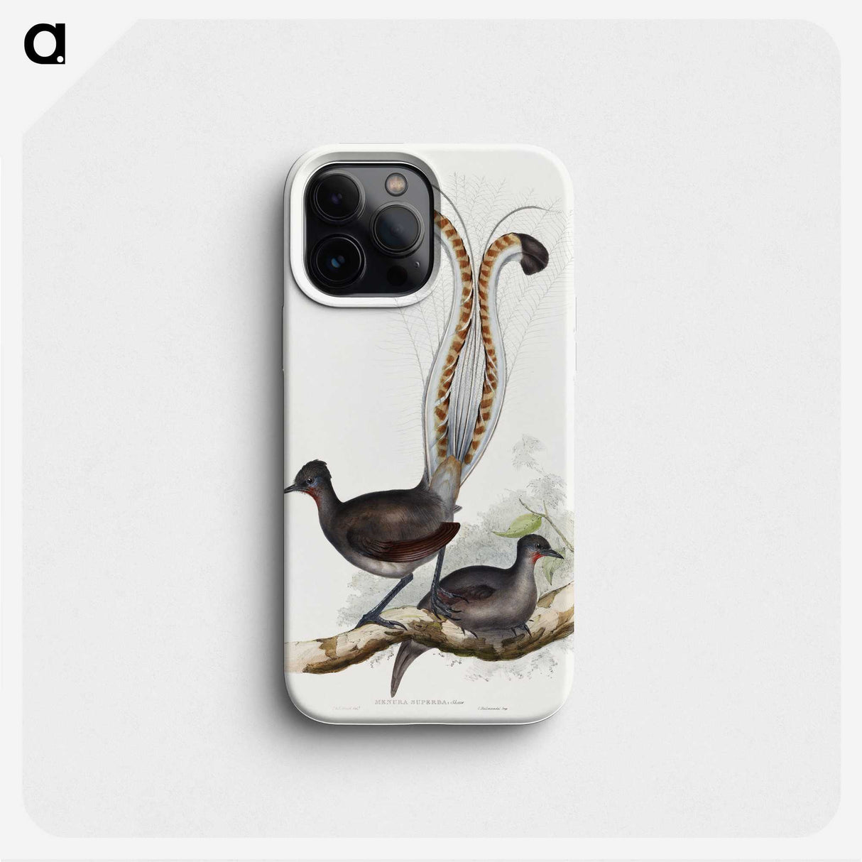1-46_John-Gould_phone