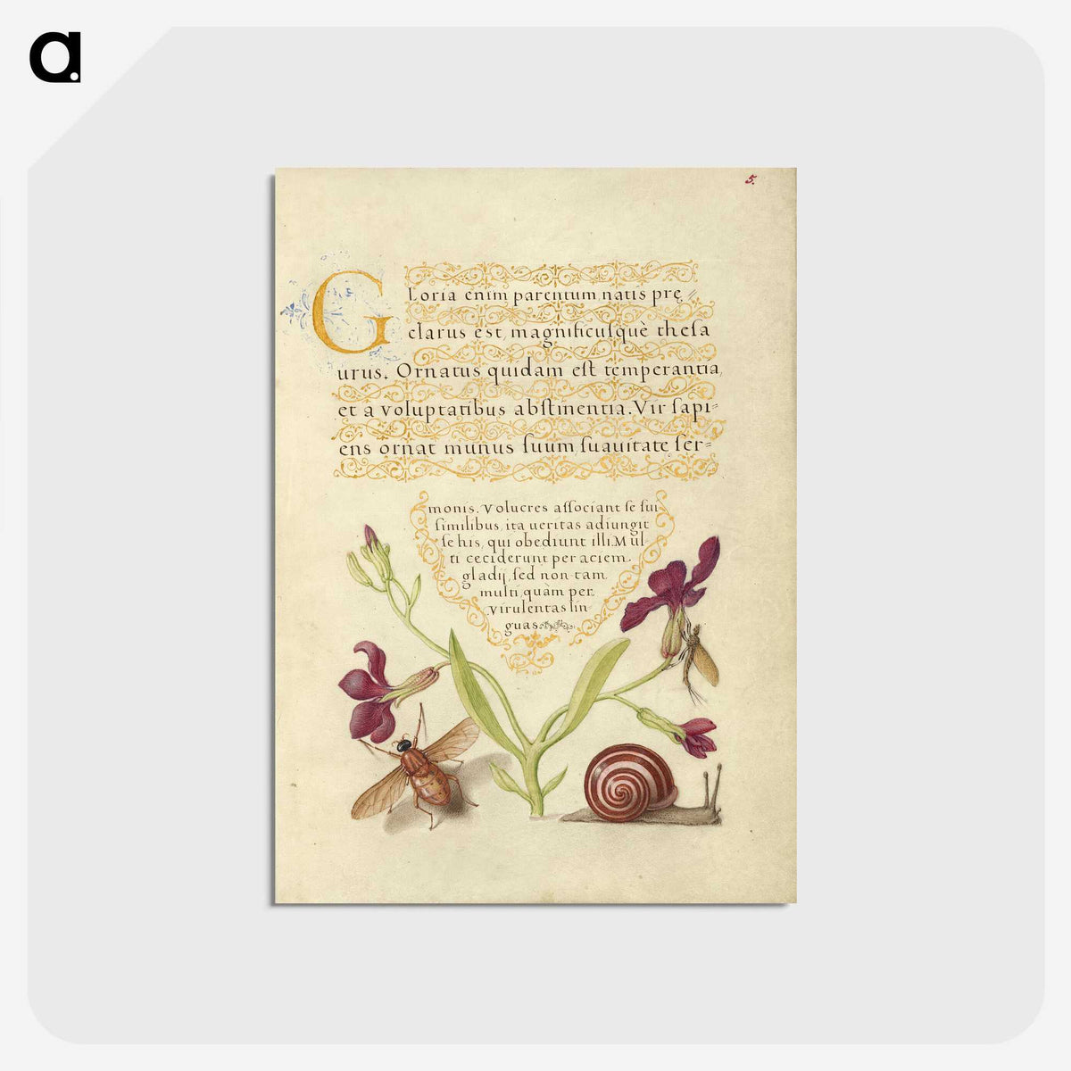 1-46_Joris-Hoefnagel_postcard