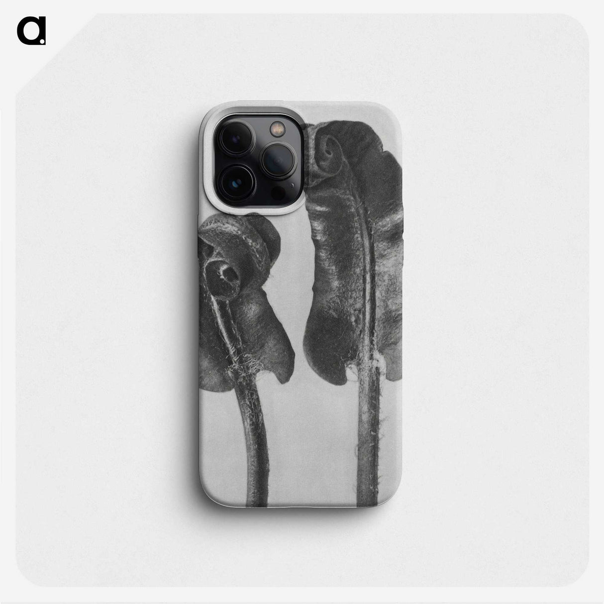 1-46_Karl-Blossfeldt_phone