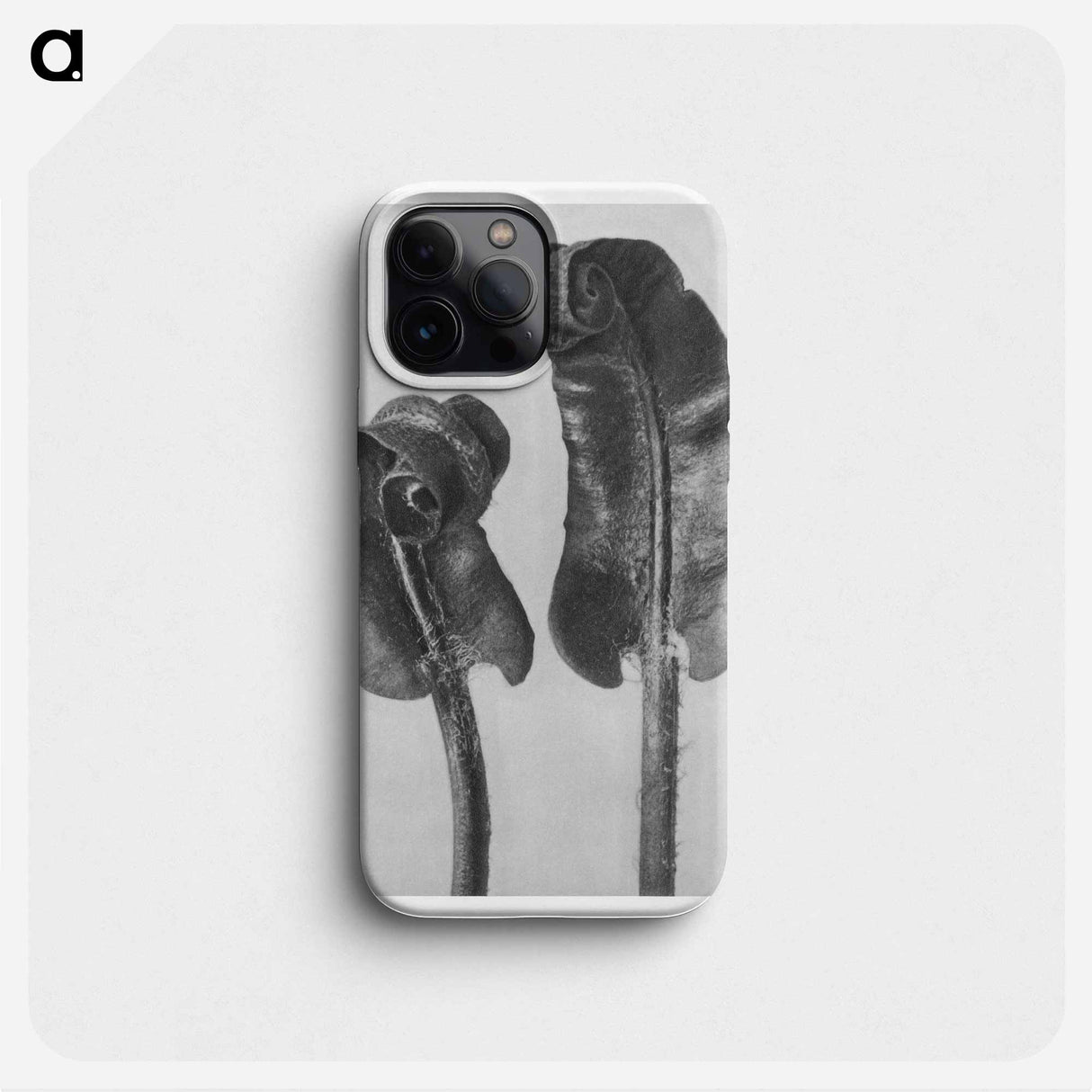 Scolopendrium Vulgare (Hart's–Tongue Fern) Young Rolled-Up Fronds - カール ブロスフェルト Phone Case.