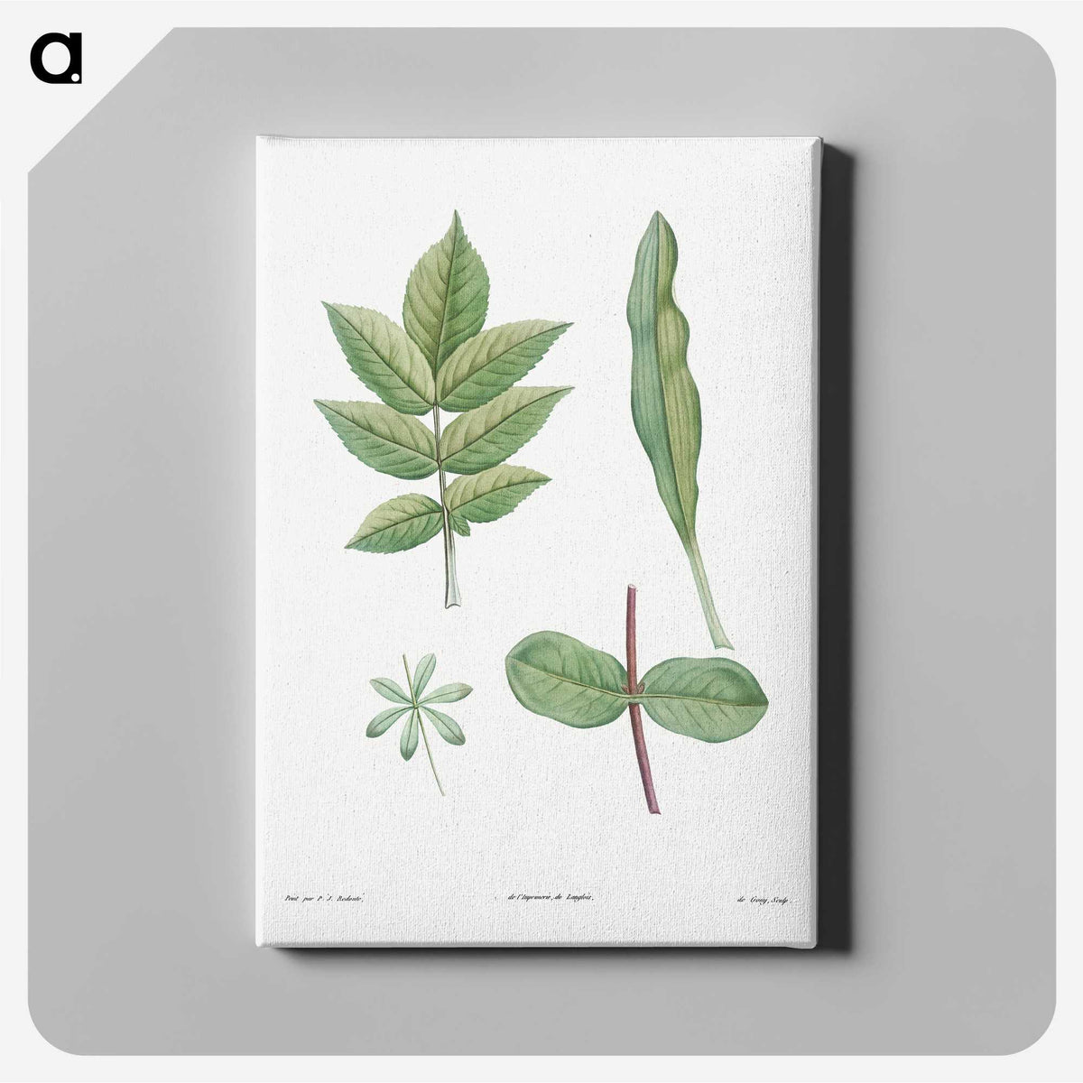 1-46_La-Botanique_canvas