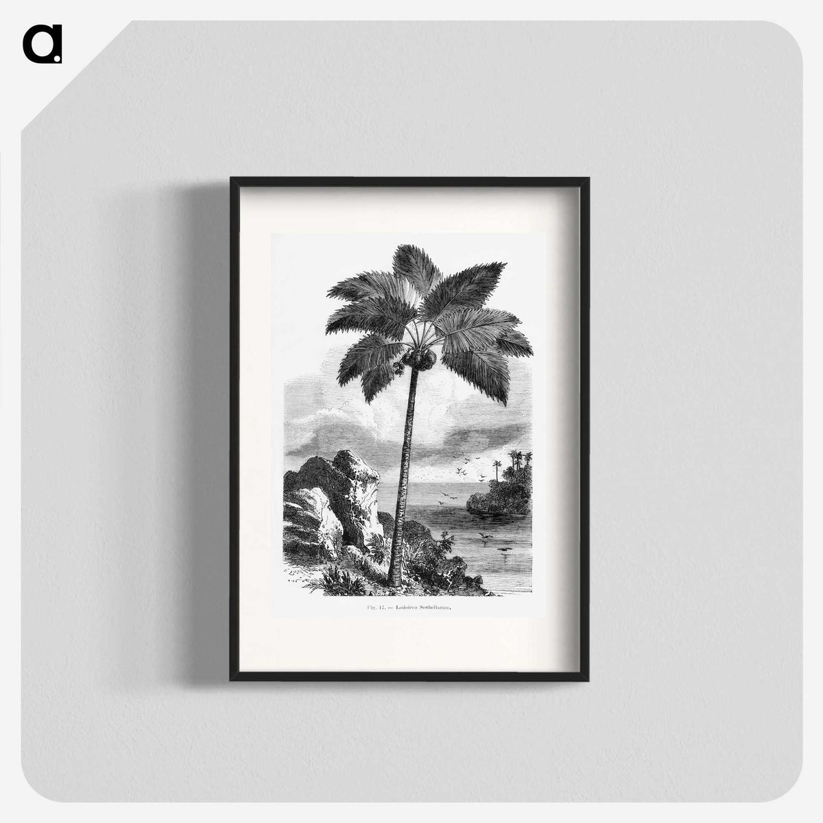 1-46_Les-Palmiers-Histoire-Iconographique_blk