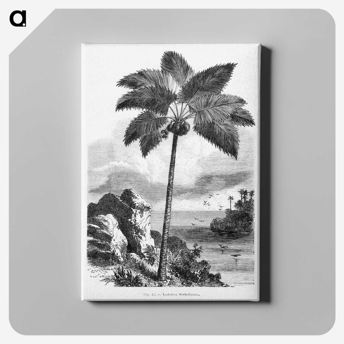 1-46_Les-Palmiers-Histoire-Iconographique_canvas