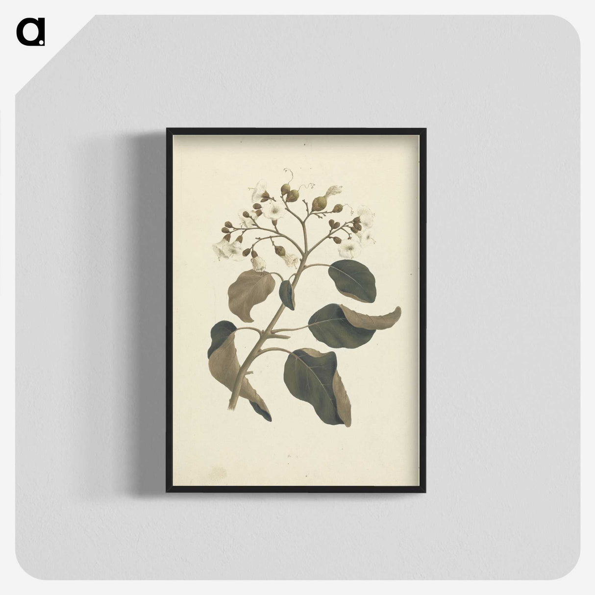 1-46_Luigi-Balugani_blk-crop