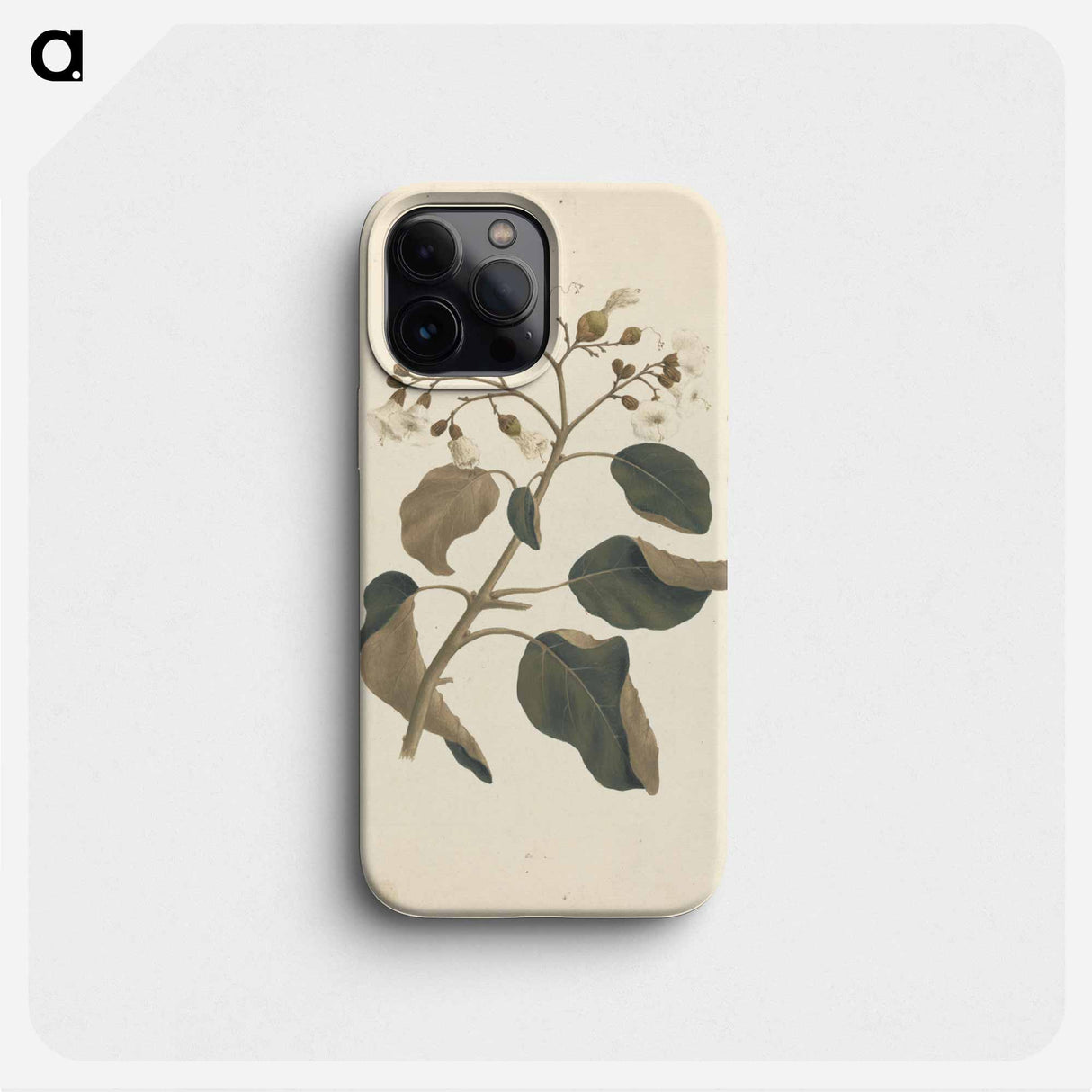 Cordia abyssinica
- ルイージ バルガーニ Phone Case.