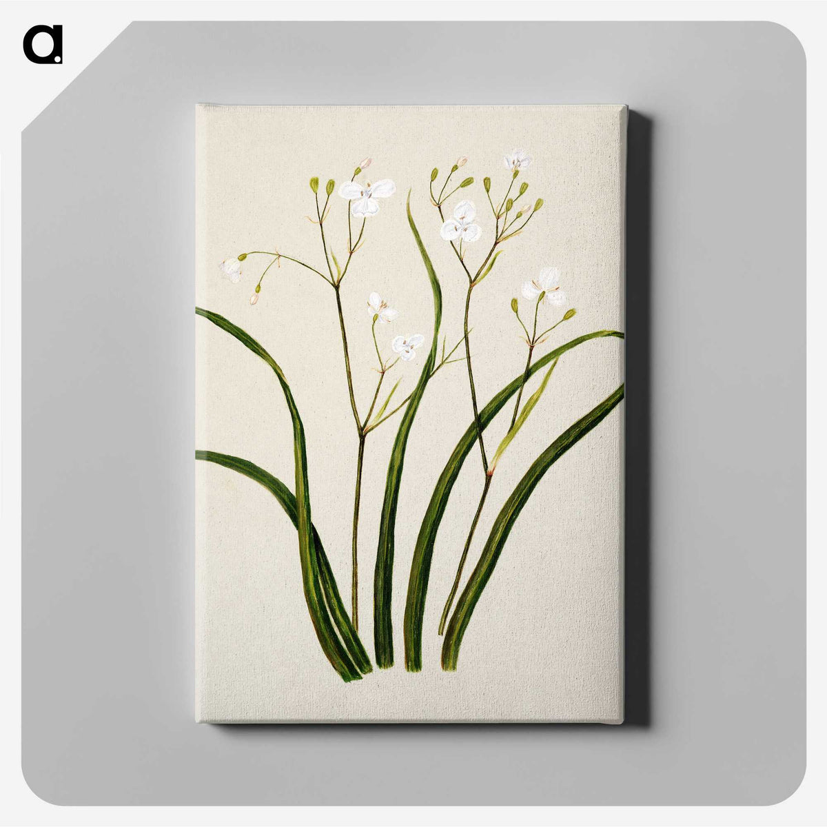 1-46_Native-Flowering-Plants-of-New-Zealand_canvas