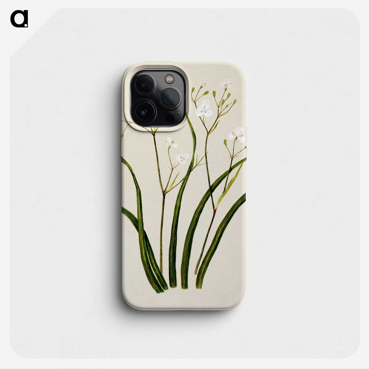 1-46_Native-Flowering-Plants-of-New-Zealand_phone