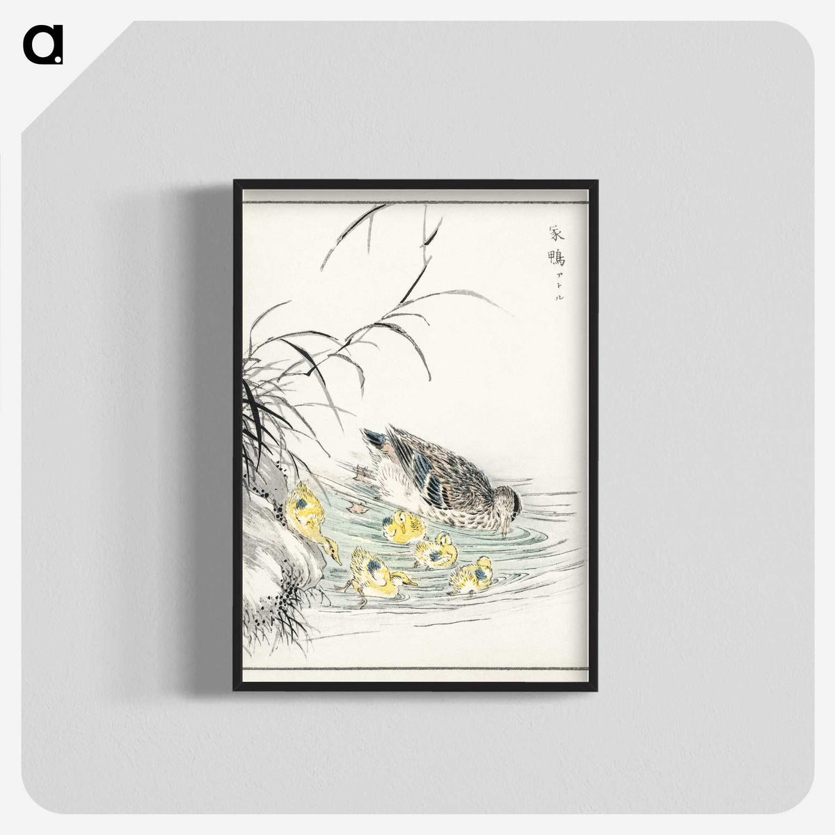 1-46_Pictorial-Monograph-of-Birds_blk-crop