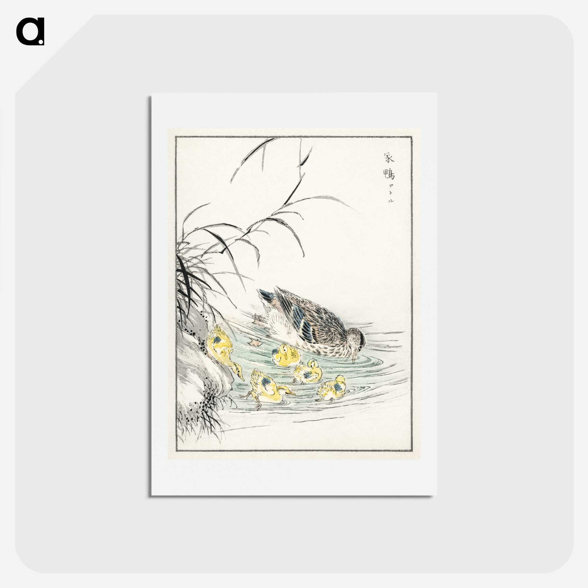 1-46_Pictorial-Monograph-of-Birds_hagaki