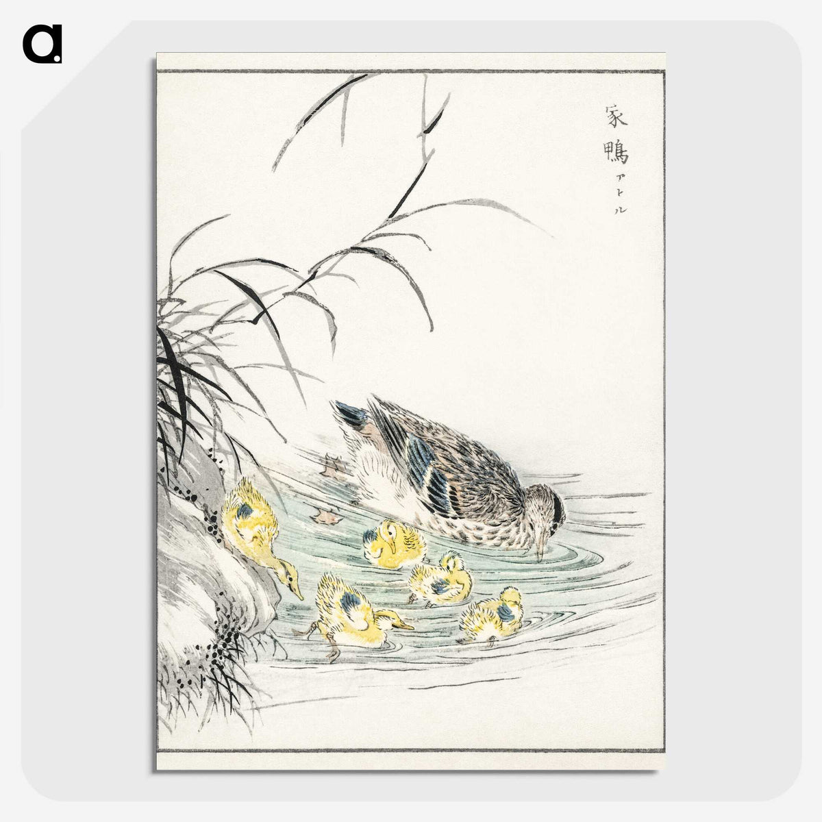 1-46_Pictorial-Monograph-of-Birds_picture-crop