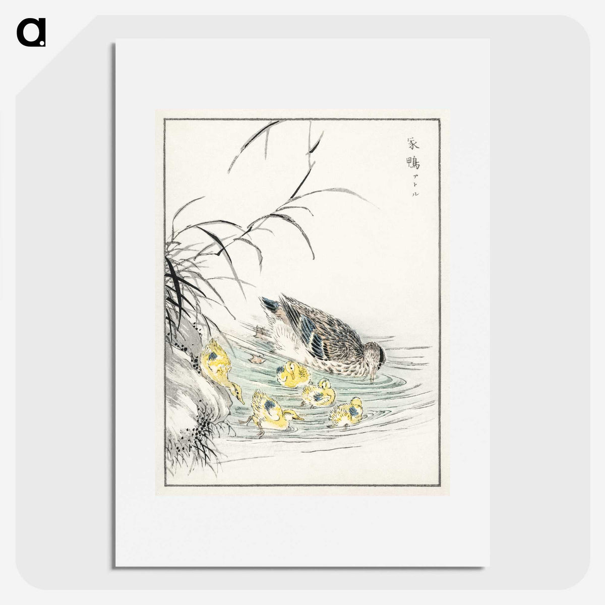 1-46_Pictorial-Monograph-of-Birds_picture