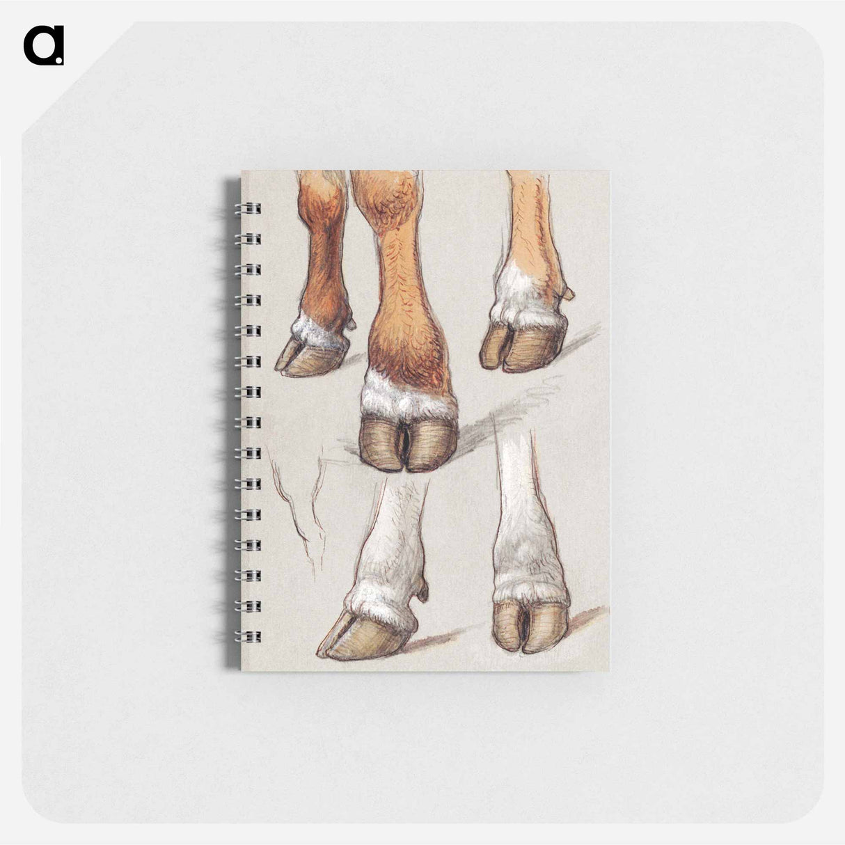 Studies After Cattle - サミュエル コールマン Memo.