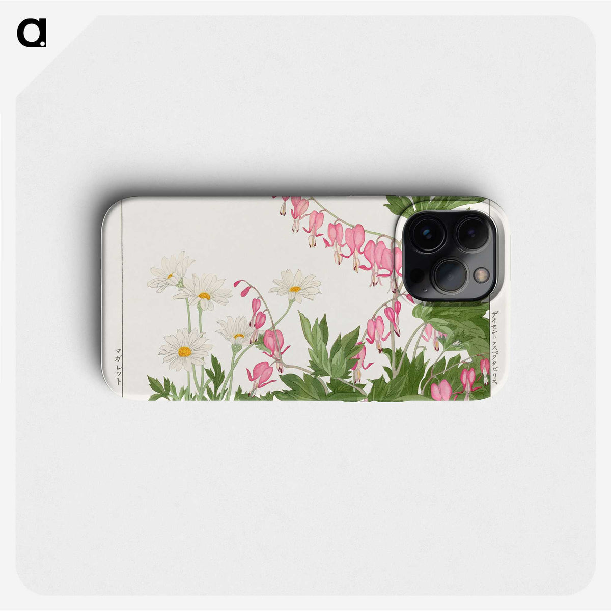 1-46_Seiyo-Soka-Zufu_phone