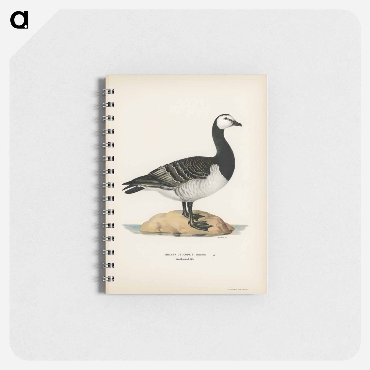 アートメモ帳-Barnacle Goose
- スヴェンスカ フォグラル Memo.