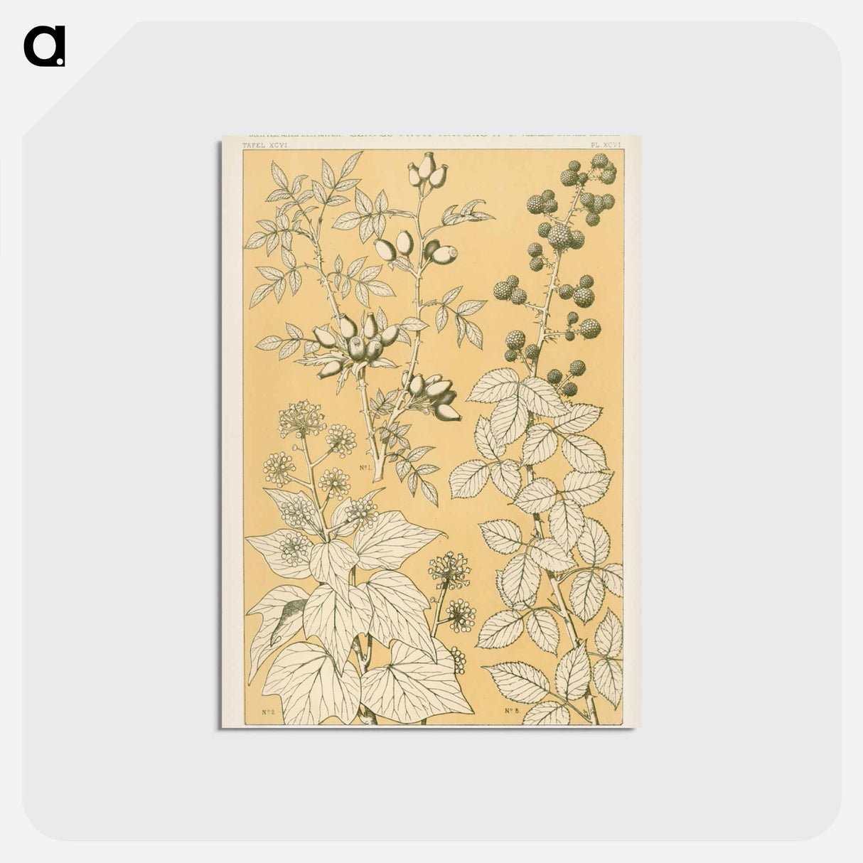 アートポストカード-Nineteenth-Century Floral Ornament
- 装飾の文法 Postcard.