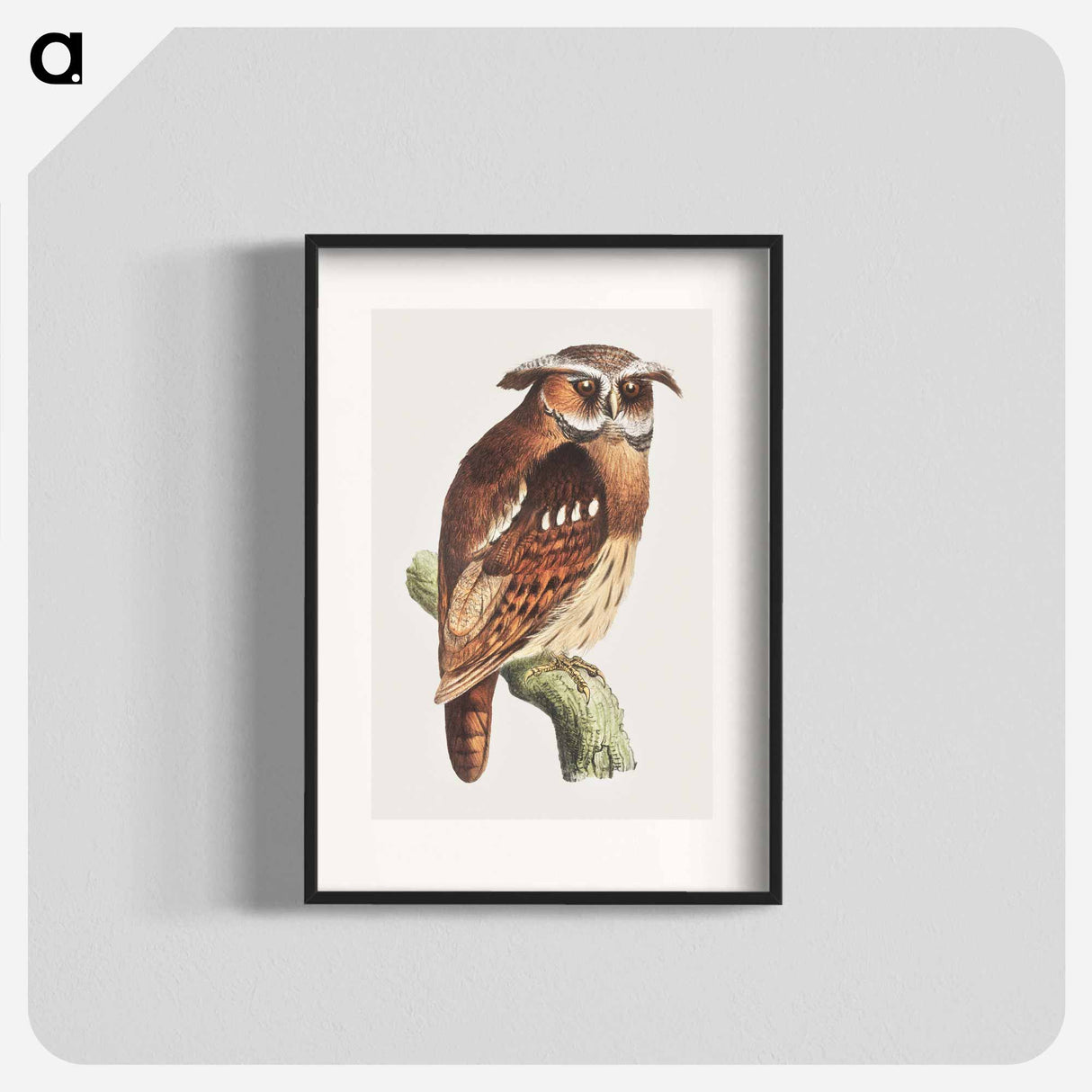 Uil op een tak - テオ ヴァン ホイテマ Poster.