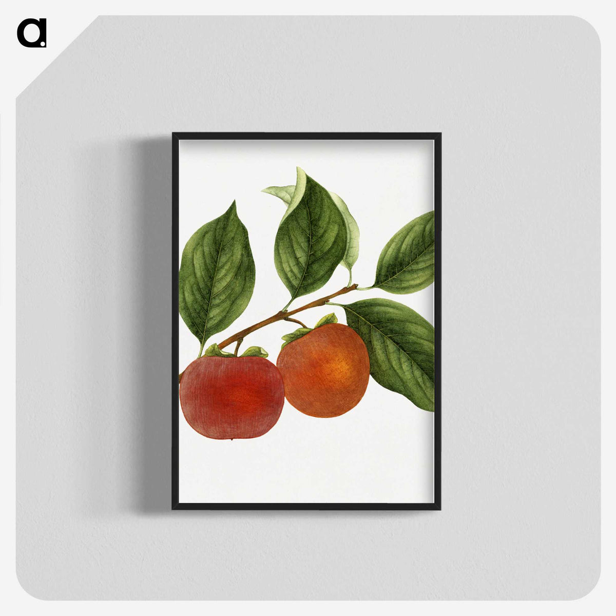 1-46_USDA-Watercolor-Fruit-Painting-Collection_blk-crop