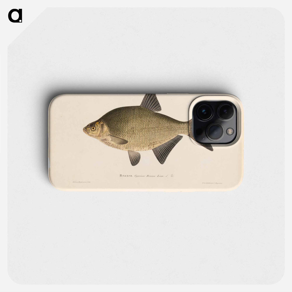 Male bream - Wilhelm von Wright Phone Case.