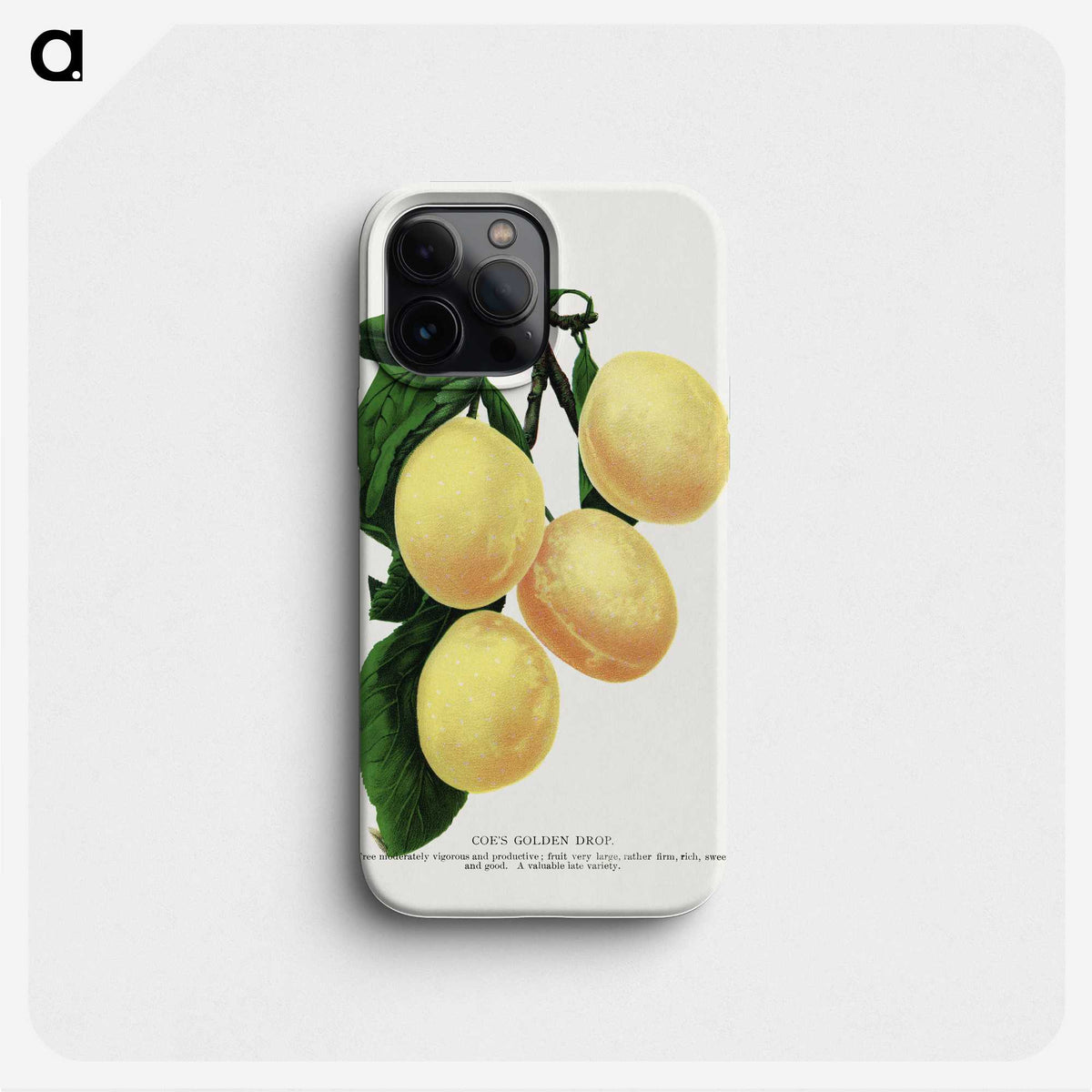 1-47_Botanical-Specimen-Plates_phone