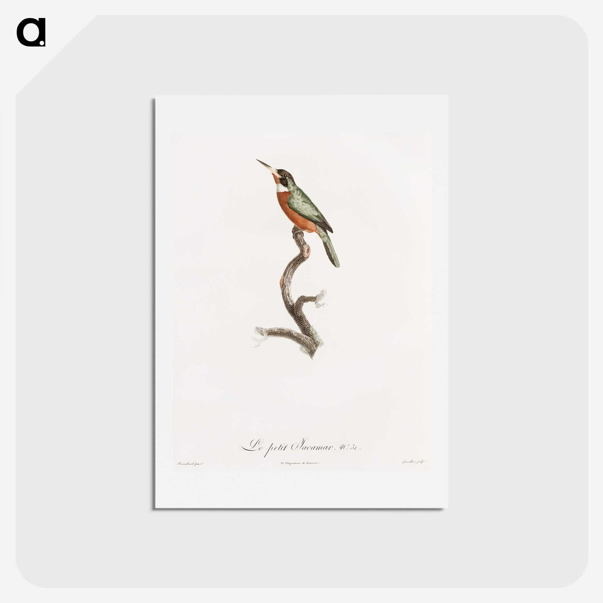 1-47_Des-Oiseaux-de-Paradis_hagaki
