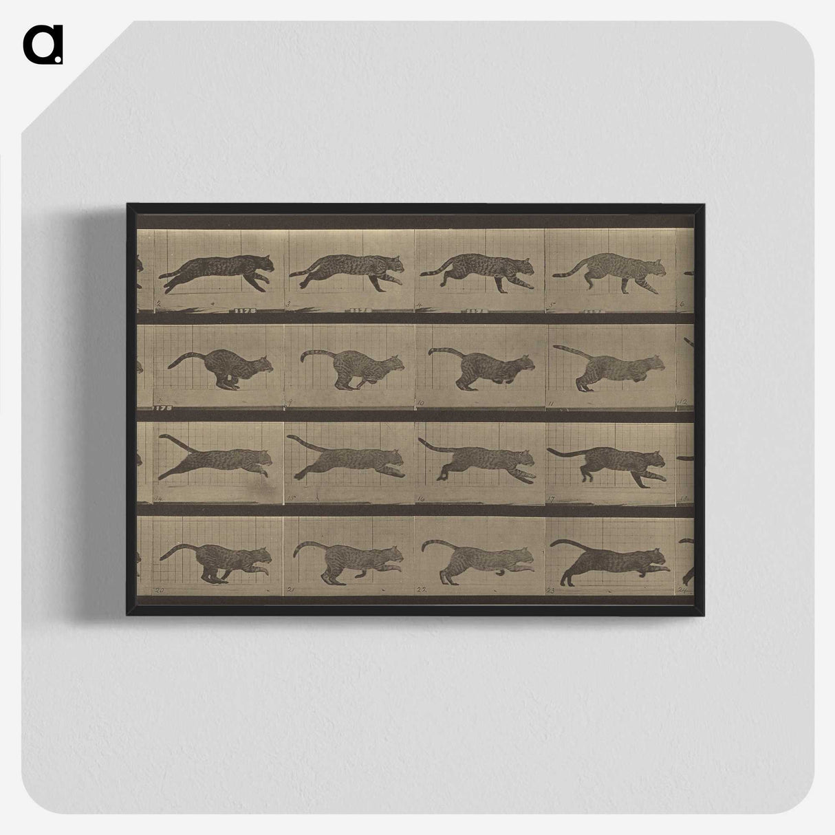 1-47_Eadweard-Muybridge_blk-crop