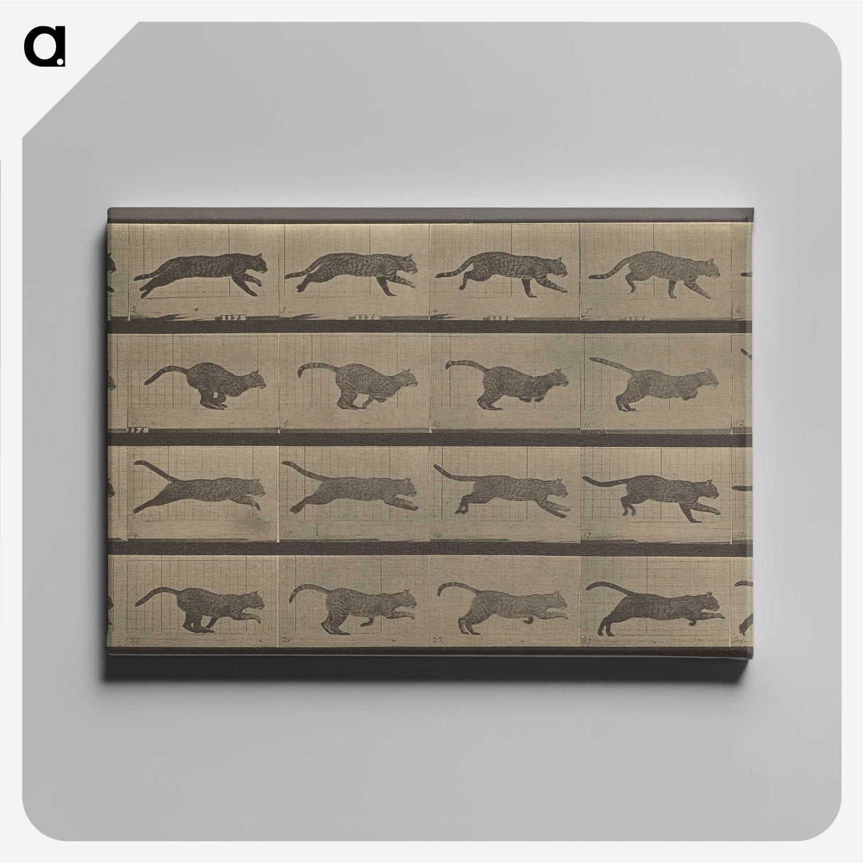 1-47_Eadweard-Muybridge_canvas