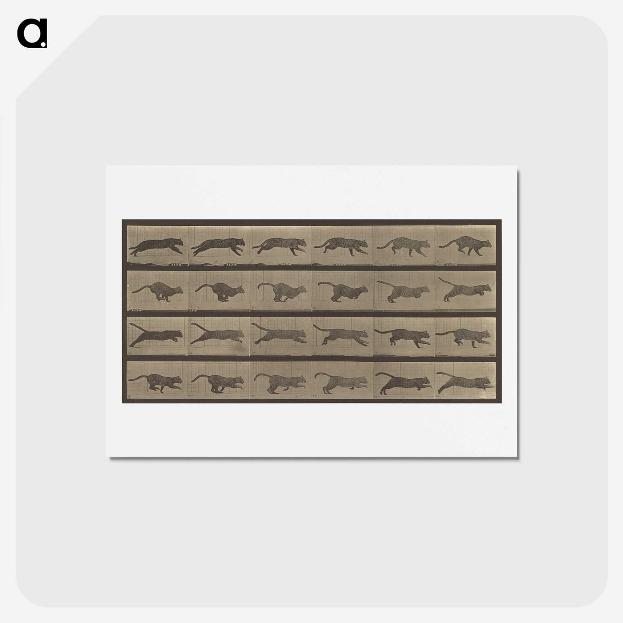 1-47_Eadweard-Muybridge_hagaki