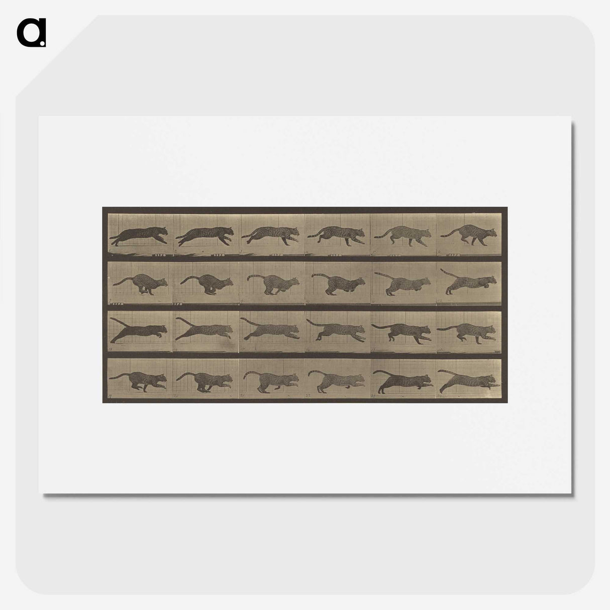 1-47_Eadweard-Muybridge_picture