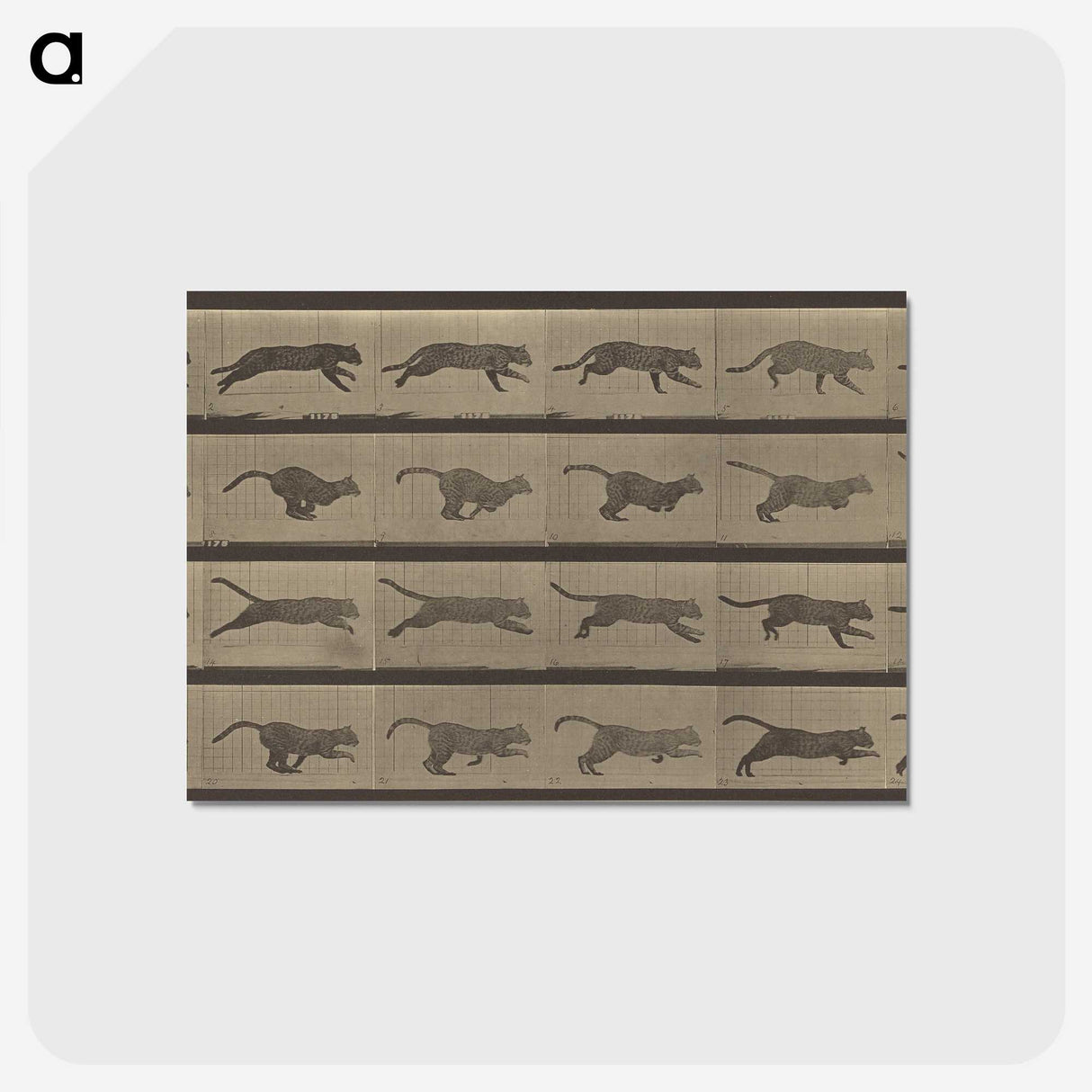 1-47_Eadweard-Muybridge_postcard