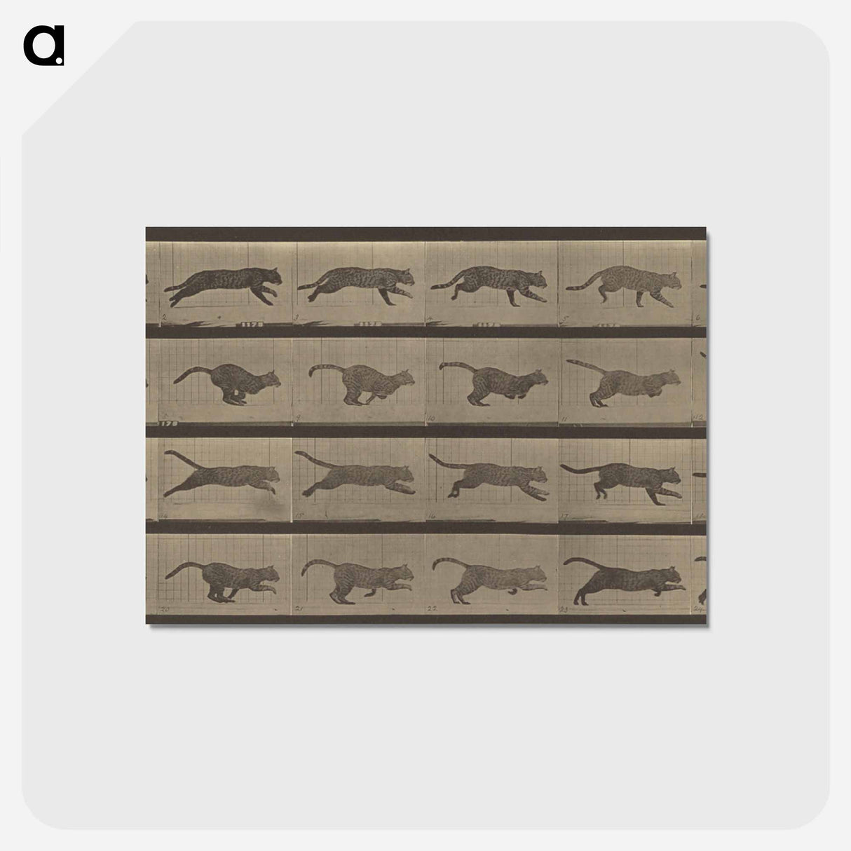 アートポストカード-Animal Locomotion
- エドワード マイブリッジ Postcard.