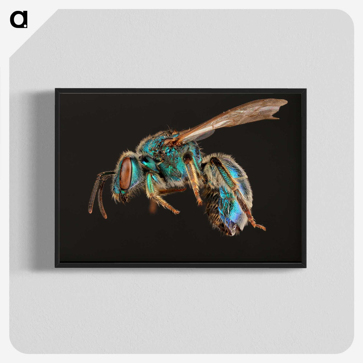 1-47_Insects-Unlocked-Project_blk-crop