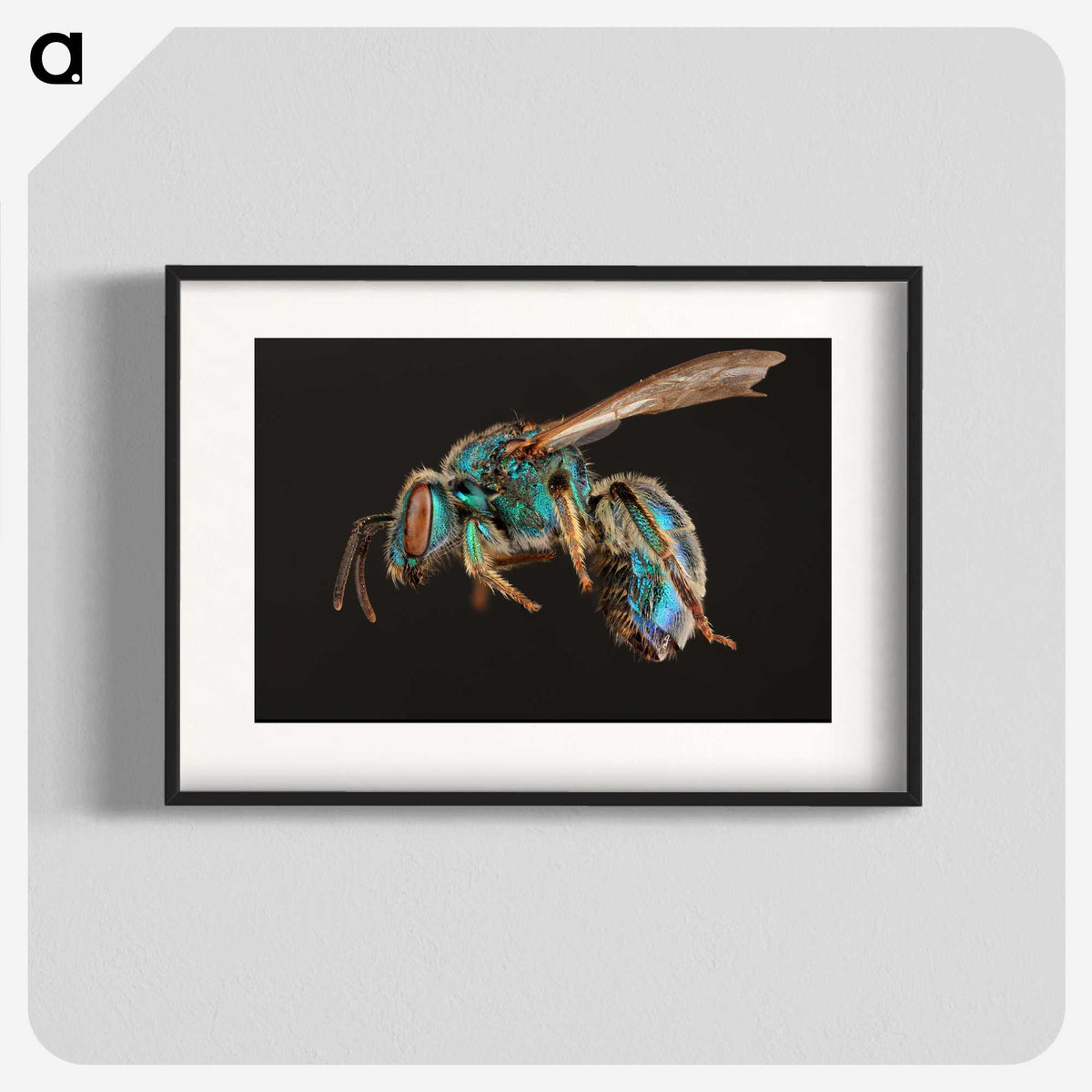 1-47_Insects-Unlocked-Project_blk