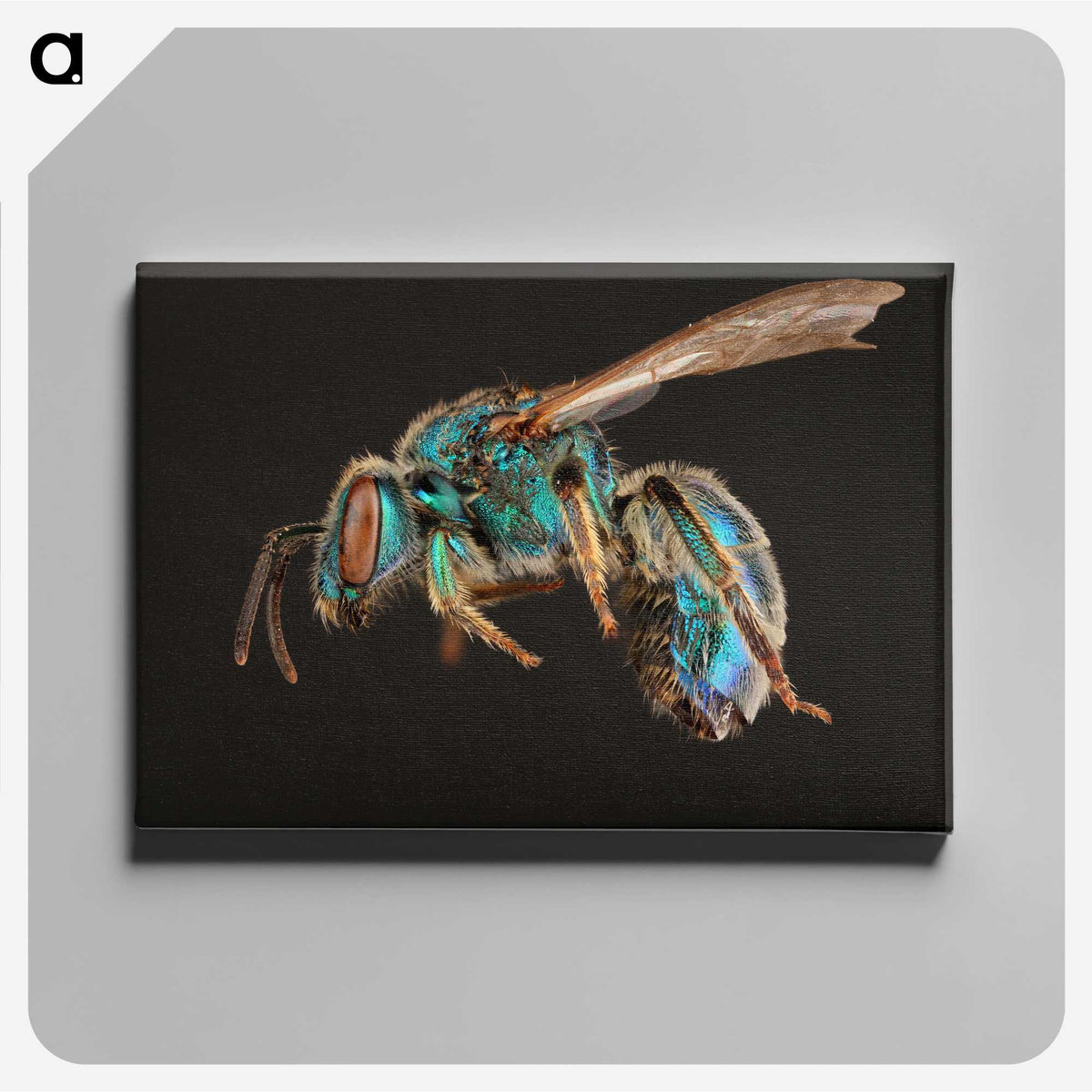 1-47_Insects-Unlocked-Project_canvas