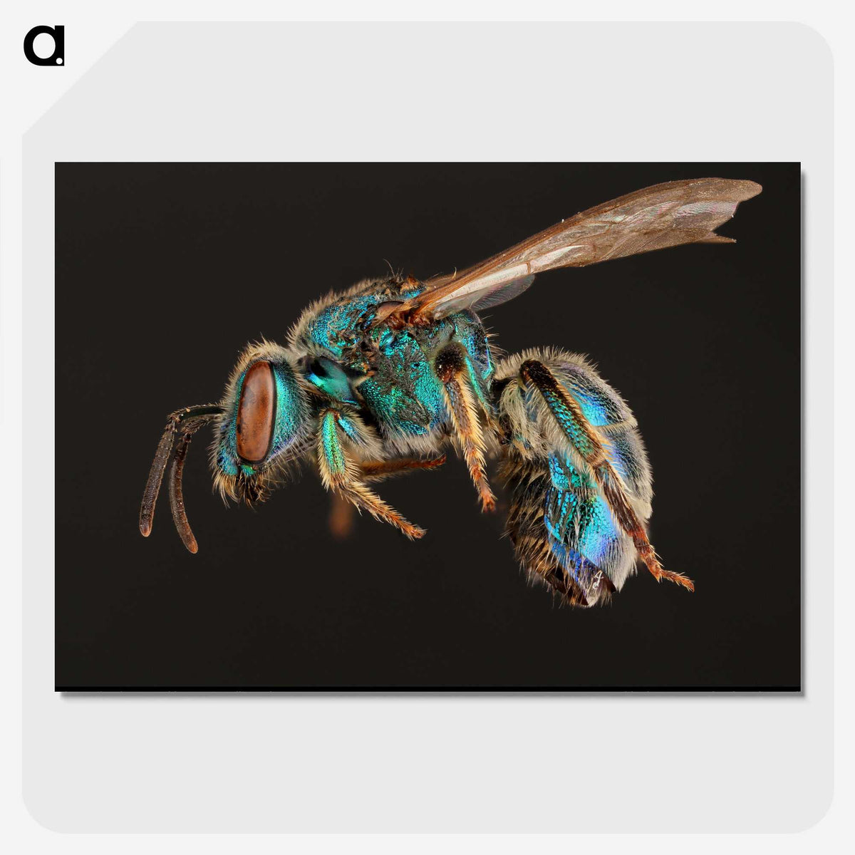 1-47_Insects-Unlocked-Project_picture-crop